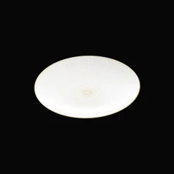 Assiette à dessert/gâteaux en porcelaine finition Or