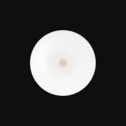 Assiette à dessert/gâteaux en porcelaine finition Platine