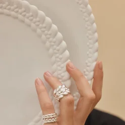 Assiette à Dîner en Porcelaine