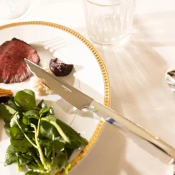 Couteau à steak en métal argenté