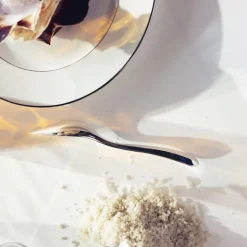 Couteau-pelle à poisson en métal argenté