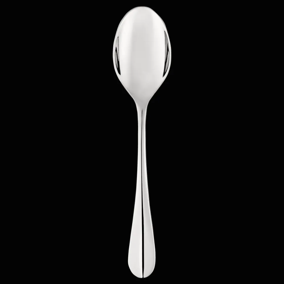 Cuillère à servir en acier