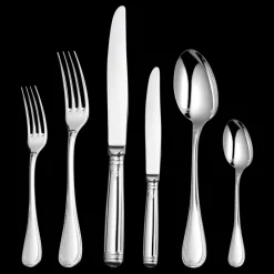 Ensemble pour 6 personnes (36 pièces) en métal argenté avec boîte de rangement