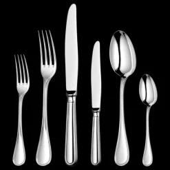 Ensemble pour 6 personnes (36 pièces) en métal argenté avec boîte de rangement