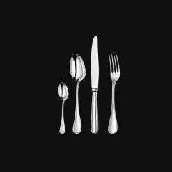 Ensemble pour 6 personnes (24 pièces) en métal argenté avec boîte de rangement