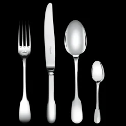 Ensemble pour 12 personnes (48 pièces) en métal argenté avec boîte de rangement