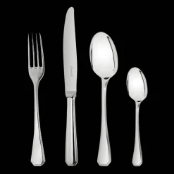 Ensemble pour 12 personnes (48 pièces) en métal argenté avec boîte de rangement