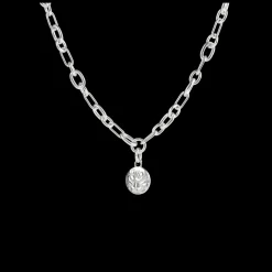 Médaille en Argent Massif - Peau de Lion