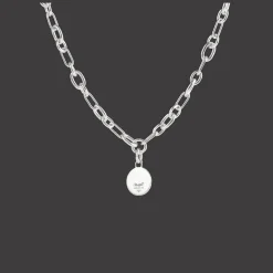 Médaille en Argent Massif - Peau de Lion