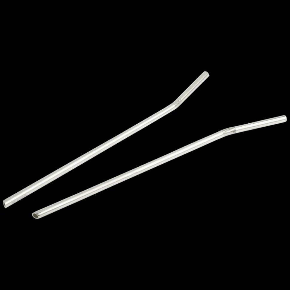 Set de 2 pailles en métal argenté