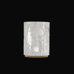 Vase en métal argenté